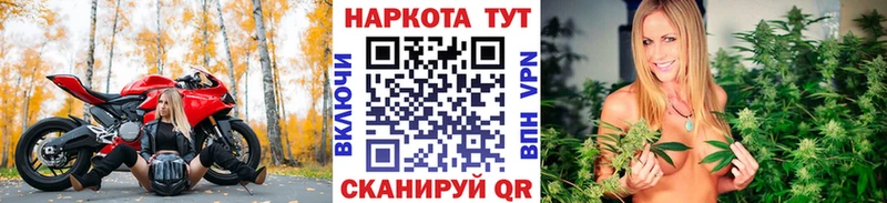 Где можно купить наркотики Курчалой Конопля  Кокаин  Alpha-PVP  Мефедрон 