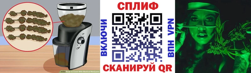 Cannafood конопля  маркетплейс состав  Курчалой  МЕГА зеркало 
