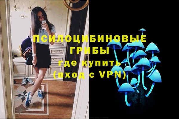 соль курить ск Алзамай