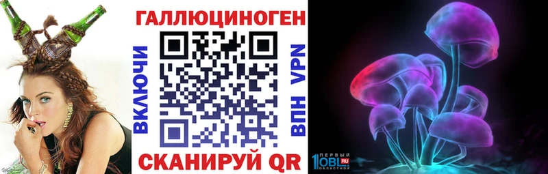 купить наркотик Курчалой Псилоцибиновые грибы Magic Shrooms