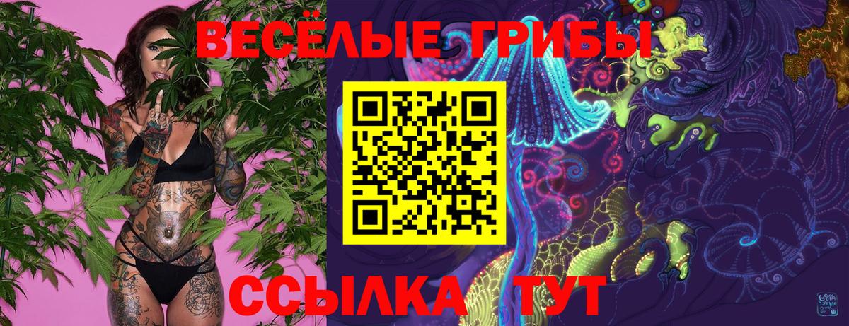 Псилоцибиновые грибы Magic Shrooms  Галлюциногенные грибы GOLDEN TEACHER  Вход с VPN  Курчалой 
