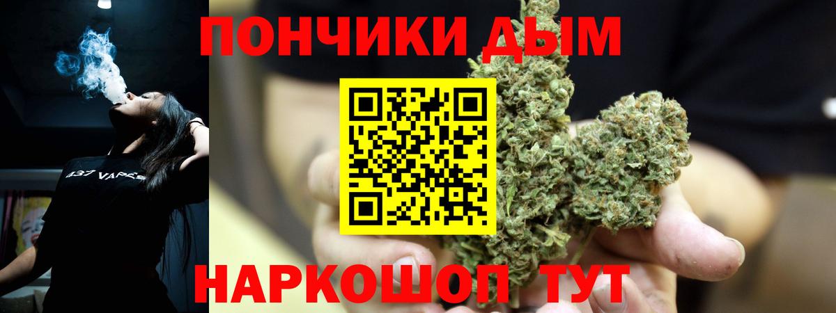 Бошки Шишки планчик Курчалой